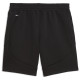 Puma Ανδρικό σορτς Evostripe Shorts